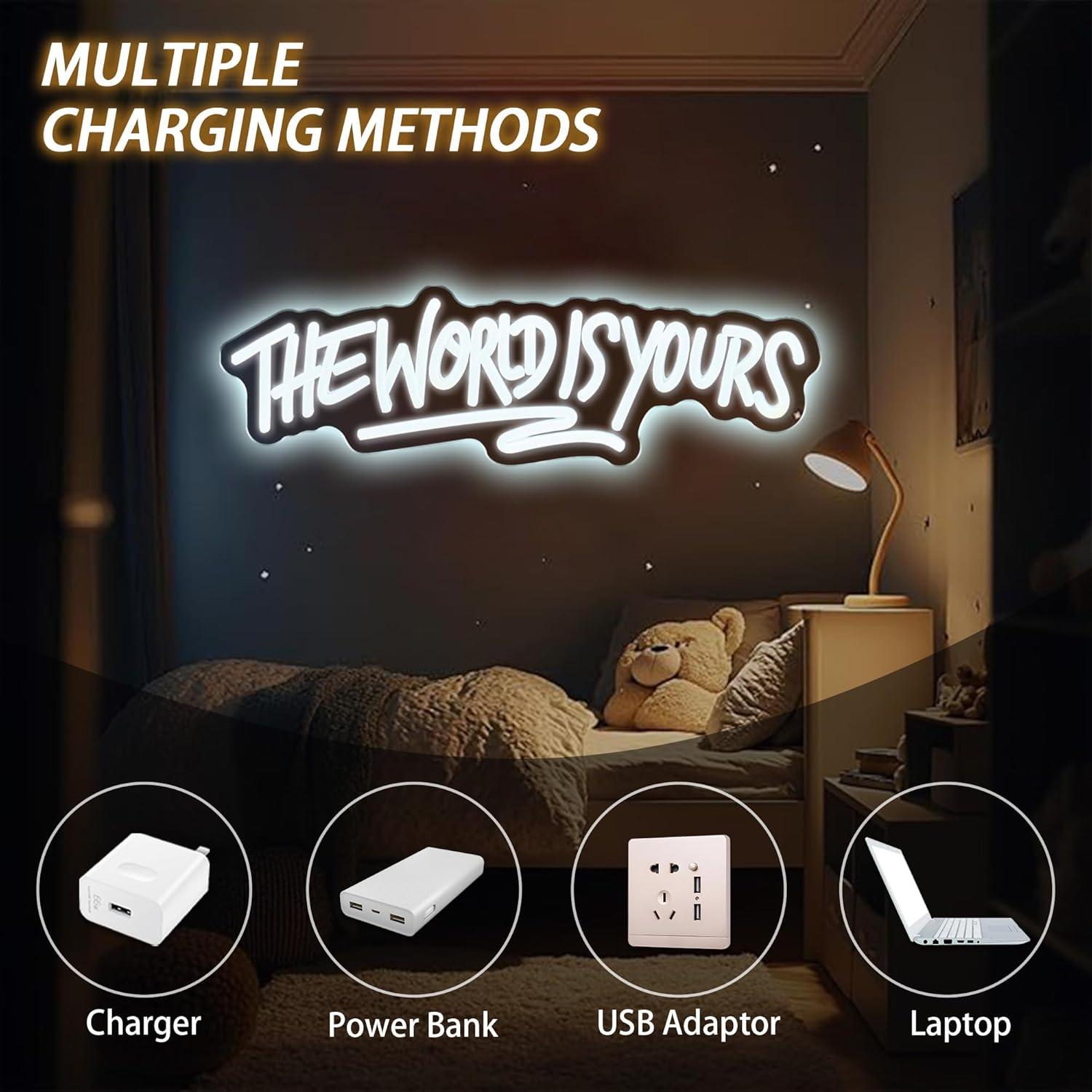 The World is Yours Neon Sign U - Lighting Decoration Wedding 评论和价格